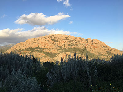 sardinia noiret